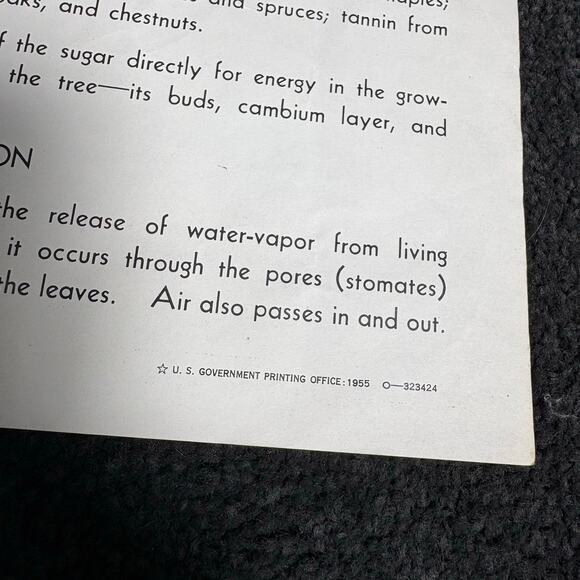 How A Tree Grows Poster Vintage 1955 US Forest Service - Mid Century Ephemera - Picture 6 of 8